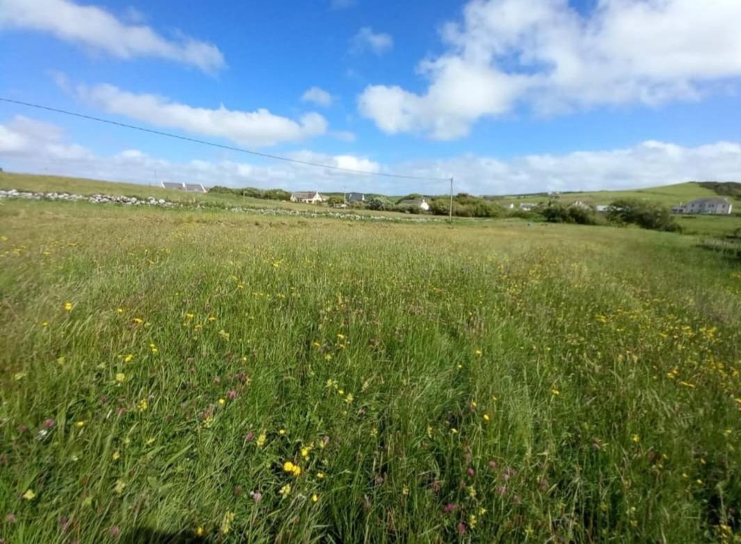 Wild Meadow Huts Villa Doolin Exterior photo