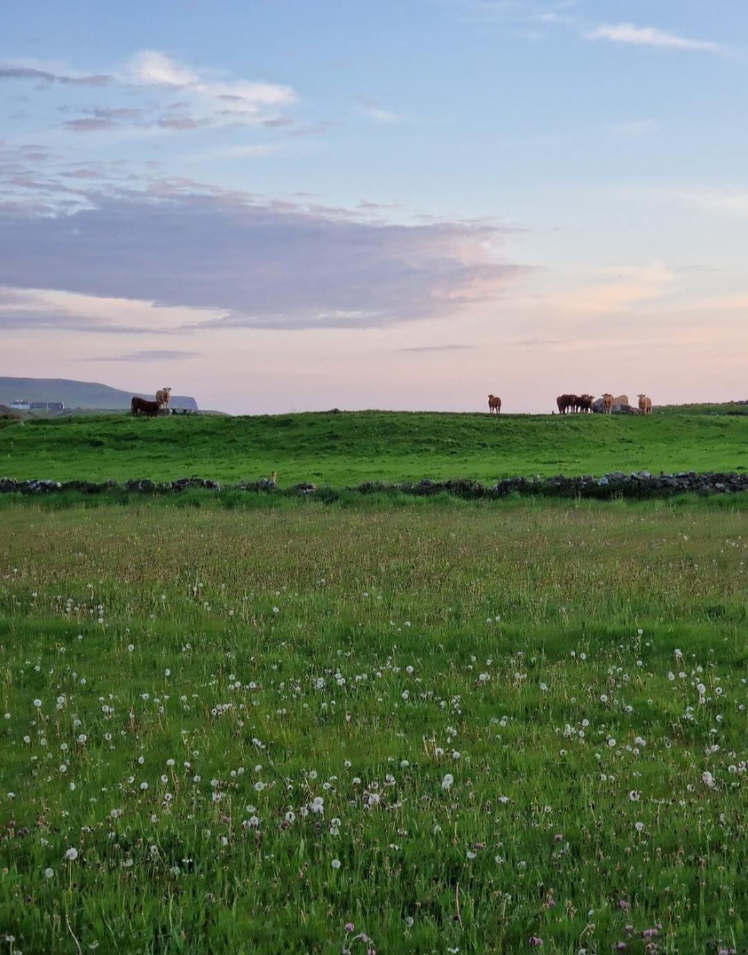 Wild Meadow Huts Villa Doolin Exterior photo