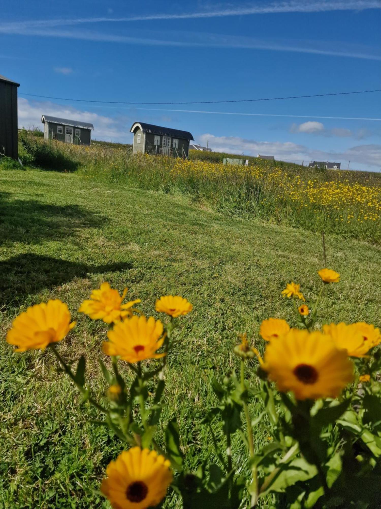 Wild Meadow Huts Villa Doolin Exterior photo